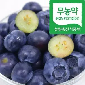 톡 터지는 달콤함 국산 무농약 블루베리 생과 100g (특) 3팩