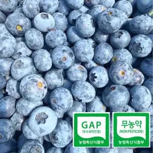 블루베리 대용량 1kg 1번 왕왕 ( 18mm이상 )