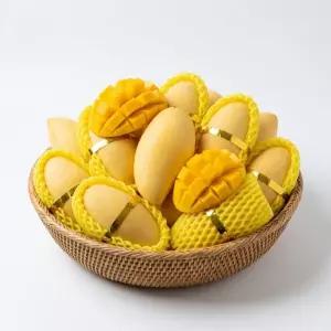 달콤함 가득 남독마이 골드망고 5kg 내외 (10-18과)