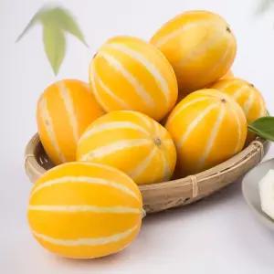 가정용 성주참외 꼬마참외 5kg 31~40개