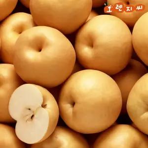 가정용 햇 배 7kg (9-19개입)