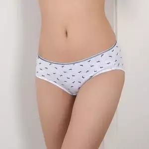 패턴 강아지 디올라 면스판 삼각팬티 PT6498강아지 PT