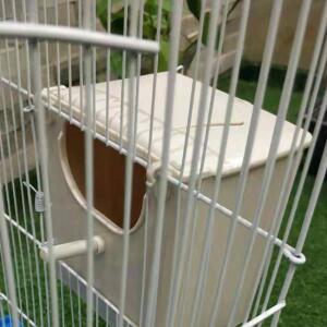 앵무새 번식 상자 행잉 새 은신처 케이지 플라스틱 하우스 메이팅 잉꼬부기 Budgie Conure