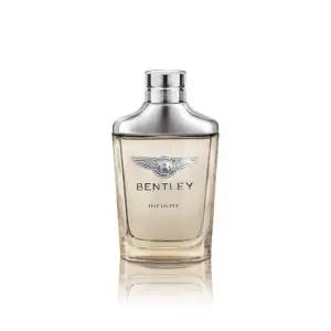 [Perfume Gallery]벤틀리 인피니트 오드뚜왈렛 100ml