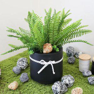 인조식물 인테리어 미니화분 실내 테이블플랜트 조화화분 네프로레피스화분