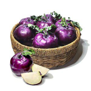 [아침이슬농원] 제주 콜라비 정품 10kg