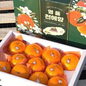 고당도 제주 천혜향 가정용 3KG 4.5KG