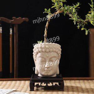 부처 화분 콩란 데코 다육이 콩난 부처님 미니 화분