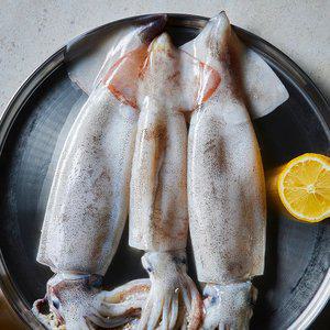 대천해 손질 통오징어 2미 (240g )