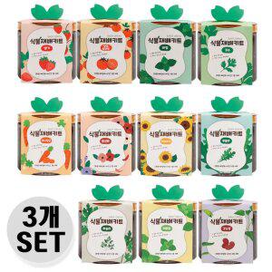 [3개세트] 식물 재배 모종 텃밭 미니당근 방울토마토 딸기 고수 바질 10종