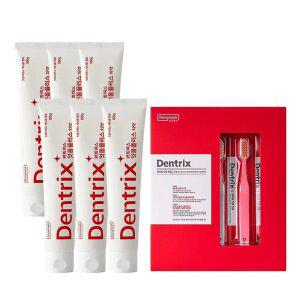 덴트릭스 잇몸플러스 치약 160g 6개 + 잇몸칫솔 5개입 1개