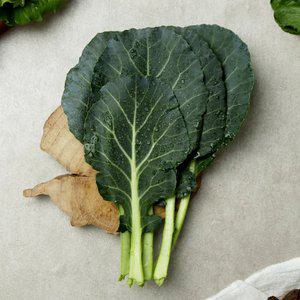 신선한 케일 500g/1kg