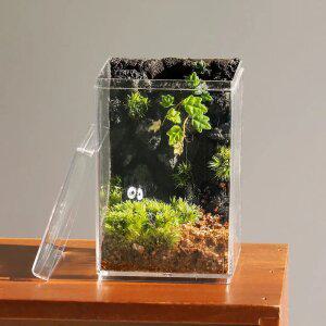 테라리움 만들기 키트 제주애기모람 돌담 DIY 비바리움 이끼 키우기 세트 수업교재