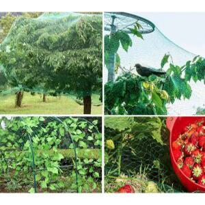 J2K 농작물 보호 새그물망 참새 비둘기 방조망 유해조수 펜스 (2x5M)