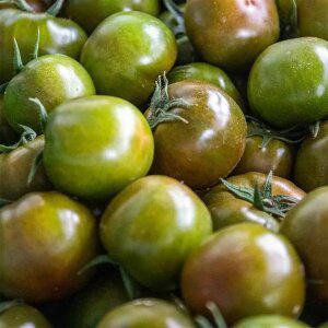 대저토마토 새콤 달콤 짭짤 2.5KG 로얄과