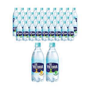더 빅토리아 탄산수 파인애플 500ml, 20개 + 청포도향 500ml, 20개