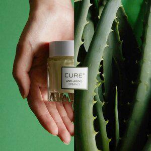 [10%] 김정문알로에 큐어 안티에이징 크림S 2개