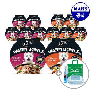 시저 웜볼 10개 골라담기+아이엠즈쇼핑백+애견칫솔+베베숲물티슈