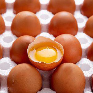 [HACCP/무항생제 인증] 난각번호 1번 유정란 40구