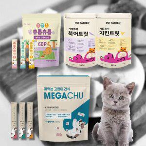 거부감없는 맛있는 고양이 간식 츄르 동결건조 트릿 선택