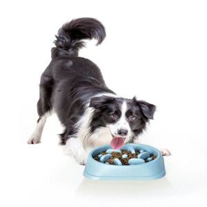 J2K 반려견 슬로우 식기 애견 식탐 조절 급체 예방 미끄럼 방지 그릇 비만 방지