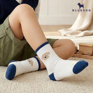 [블루독X래핑차일드X밍크뮤] 귀여움 가득 데일리 아동 양말 54