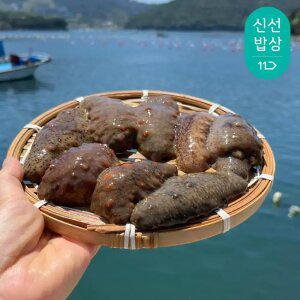 [품질보장]이순신수산 통영 제철 자연산 해삼 500g
