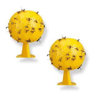 살림살림 옐로우 해충 끈끈이 초파리 박멸 트랩