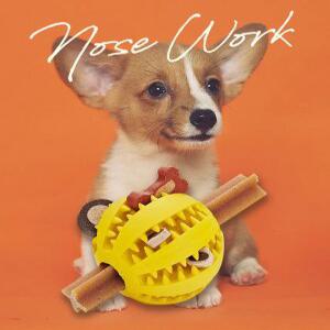 J2K 반려견 스낵볼 장난감 5cm 치아관리 간식놀이 동물 작동 완구 (색상 랜덤)