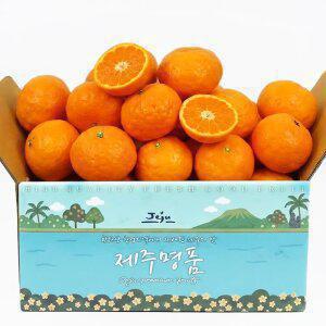 [당도선별] 제주 카라향 감귤 2.5kg 로얄과(2S-M)/ 수확 후 바로 발송/ 수량 한정