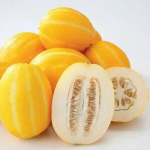 성주 햇살 담은 성주 꿀 참외 가정용 참외 5kg내외 [랜덤과/혼합과수]