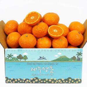 [당도선별] 제주 제철 카라향 2.5kg 프리미엄 중대과