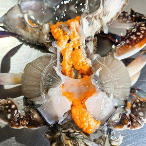 [알배기 100%] 당일조업 서해 활 알배기 암꽃게 3kg(12-18미 내외)