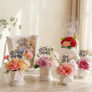 어버이날 감사선물 비누꽃 카네이션 화분 선물 상자 쇼핑백 세트 플라워박스 모음전