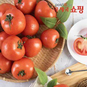 [우체국쇼핑] 건강한 완숙 토마토 2kg/5kg #정읍 #농가