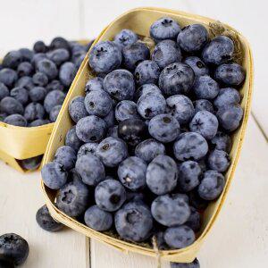 무농약 하우스 블루베리 생과 200g