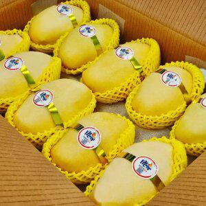 프리미엄 고당도 골드망고 4kg