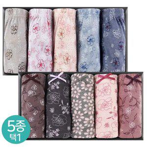 (30%즉시할인) 폭스 맥시 택1 (5매입) 여성팬티 면팬티