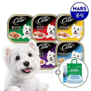시저 주식캔 100gx12개 골라담기+아이엠즈쇼핑백+애견칫솔+베베숲물티슈