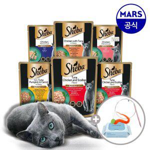 쉬바 파우치 24개 골라담기+고양이낚시대+베베숲물티슈