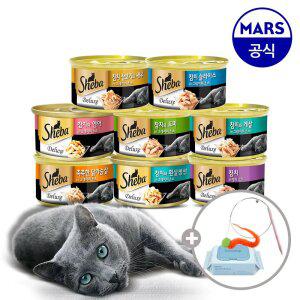 쉬바 캔 85gx24개 골라담기+고양이낚시대+베베숲물티슈