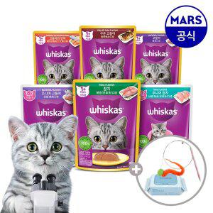 [24+24] 위스카스팩 파우치 48개 골라담기+고양이낚시대+베베숲물티슈