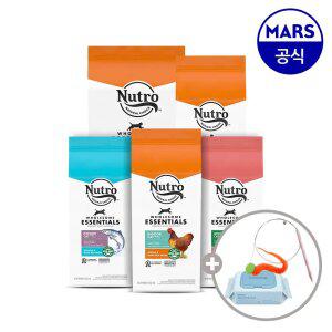 뉴트로 캣 2.27kg 골라담기+고양이낚시대+베베숲물티슈