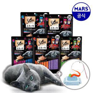 쉬바 멜티 12gx40p+고양이낚시대+베베숲물티슈