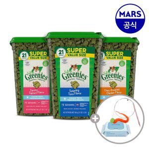 필라인 그리니즈 대용량팩 595g+고양이낚시대+베베숲물티슈