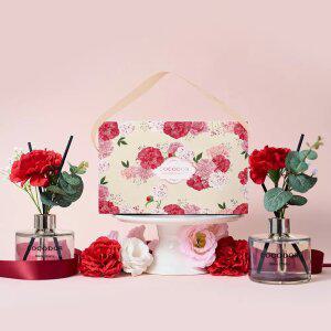 코코도르 카네이션 디퓨저 200ml 2개입