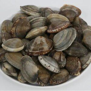 [품질보장] 이순신수산 국내산 자연산 생물 활바지락 대 800g