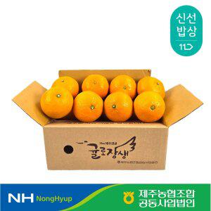 [제주농협] 제주 농산물 1kg 기획전 청견 1kg(6-8입)