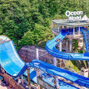 [원데이 빅딜] 소노 워터파크 전지점 초이스 종일권 (오션월드/오션어드벤처/오션플레