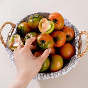 부산 대저 진짜 짭짤이 토마토 S-3S 로열과 찐단짠